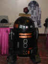 107-0800_IMG.JPG (87895 bytes)